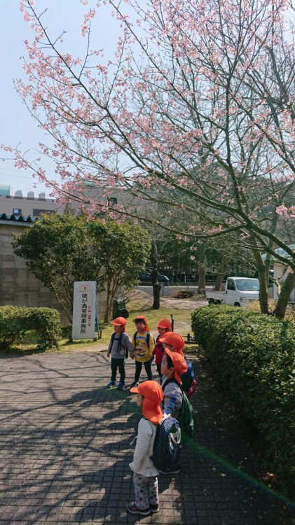 桜の下で記念撮影