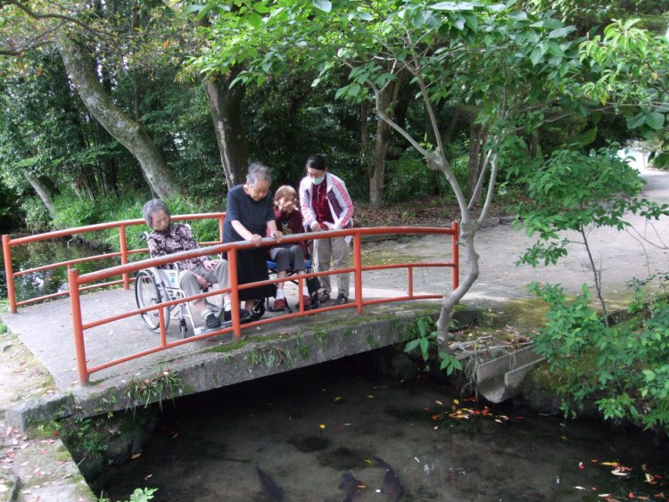 大神山神社の川で鯉と触れ合う。