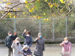 ろう梅を見に古代の丘公園へ