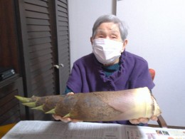 大きいタケノコ