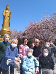 大根島の全隆寺へ八重桜を見に出掛けました！