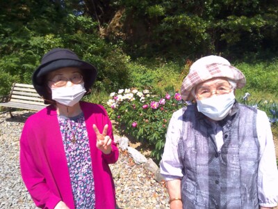 島根半島の花畑☆芍薬が綺麗です♪